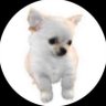 世界平和's profile picture