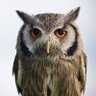 こうたろ's profile picture