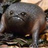 Victoria Waterman's profile picture
