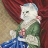OpinionatedCat 🇺🇸🍊's profile picture