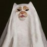SpookittyCat |🏴‍☠️👻♀️ 的头像