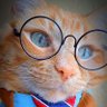 Dr. Gato profil fotoฤrafฤฑ