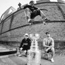 🏆 - Dominic profil fotoğrafı