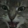 Profilbild von Lovebug