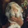 b's profile picture
