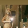 Aarón's profile picture