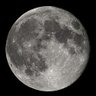 Profilbild von Moonlight