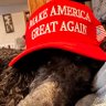 Thebasedmonkie profil fotoğrafı