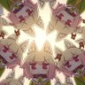 Profilbild von 破晓