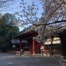 誰かの夢 的头像