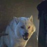 Valar Dohaeris's profile picture