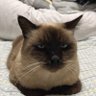 Фото профиля よか