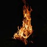 ️🔥️🔥 的头像