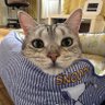 さな profil fotoğrafı