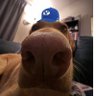 Profilbild von SUNNY COUGS ⛽️