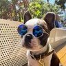 Harvey's profile picture