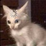 V's profile picture