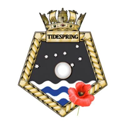 RFATidespring's profile picture