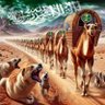 عبدالله عبدلي 的头像