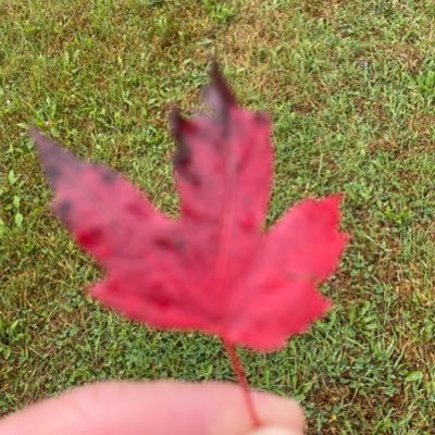 Terry T. 🇨🇦🇺🇦's profile picture