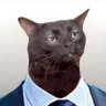 SynIQ profil fotoğrafı