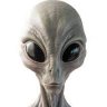 Profilbild von John Mason