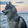 Jaiverth's profile picture