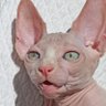Profilbild von mon