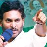 YSRCP Fan profil fotoğrafı