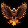 eagle views 的头像