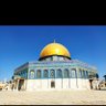 Rawan.Obeidat's profile picture