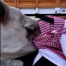 ٌ's profile picture