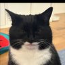 winxy~ profil fotoğrafı