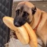 Akıl Dolu Plase's profile picture