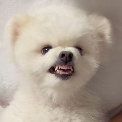 베어²¹²'s profile picture