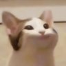 too lazy to think of a good username 的头像
