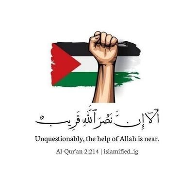 لبيب | غزة 🇵🇸's profile picture
