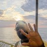 Profilbild von Chima