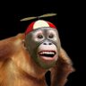 Profilbild von Adam Baums