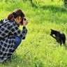 ちくわ profil fotoğrafı