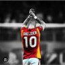 Фото профиля WESLEY SNEIJDER 10