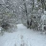 Profilbild von Winterpegger