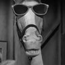 Bob J's profile picture