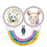白柴力@ヒトミゾラム営業ワン🐶メタバース(オンライン)でも多業種連携・健康の場作りお手伝い中🐕's profile picture