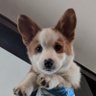 vmwkc1@gmail.com profil fotoğrafı