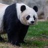 lix profil fotoğrafı