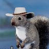 Фото профиля acorns yo