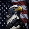 Profilbild von Alex 🇺🇸