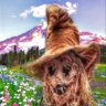 spectr1de's profile picture