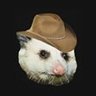 arpeggi's profile picture